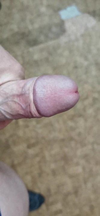 Mein Schwanz Free Hd Videos Hd Porn Video Xhamster