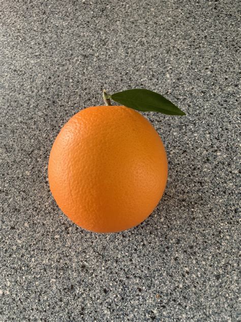 perfectly shaped orange   orange tree