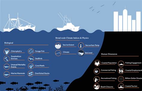 Noaas New National Marine Ecosystem Status Web Tool Noaa S Atlantic