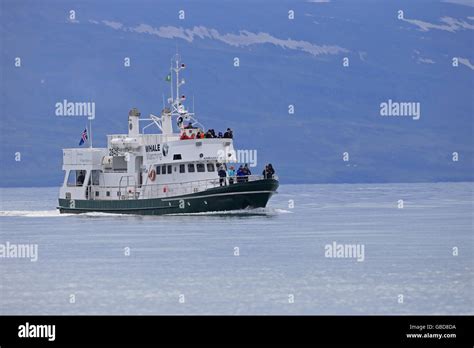 Whale Watching Boat Iceland Stock Photo Alamy