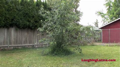 Backyard Lift And Carry Wmv The Laughing Latina Clips Sale