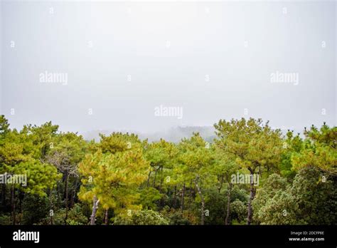 Shillong View Point Laitkor Peak Shillong Meghalaya India Stock Photo