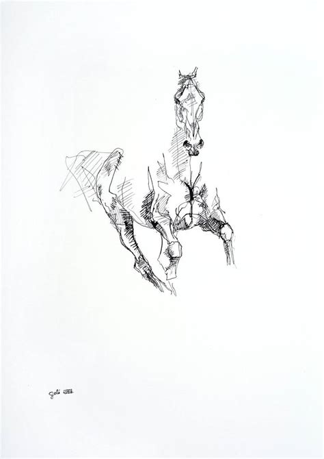 Equine Nude 27a Drawing By Benedicte Gele Saatchi Art