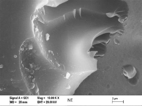 SEM Images Of The Ruptured Single Lap Joint Specimens Surfaces Of 10KX