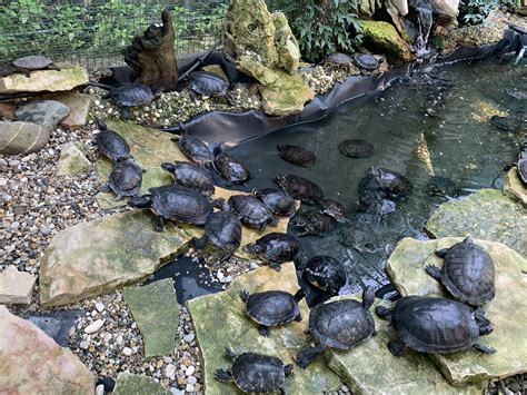 You know EXACTLY what we came here to do : r/overthegardenwall