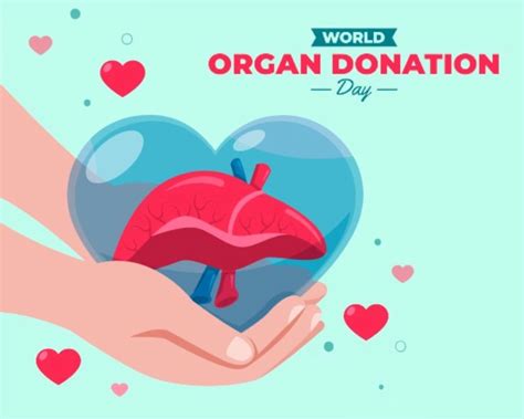 World Organ Donation Day क्यों मनाया जाता है World Organ Donation