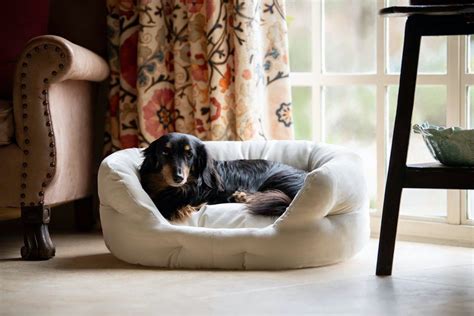 Luxury dog beds - The Stylish Dog Company