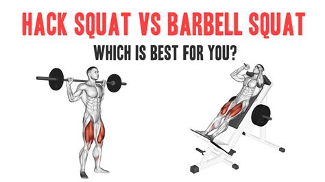 hack squat  barbell squat
