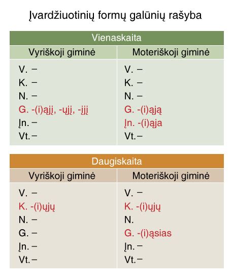 Įvardžiuotinių Formų Galūnių Rašyba