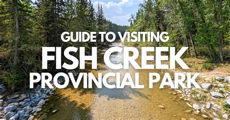 The Ultimate Guide For Visiting Fish Creek Provincial Park