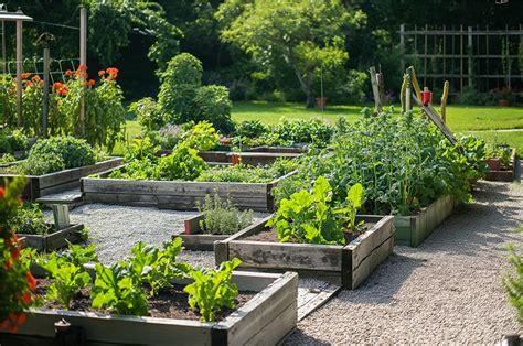 Best Backyard Landscape Ideas To Create An Outdoor Oasis Shrubhub