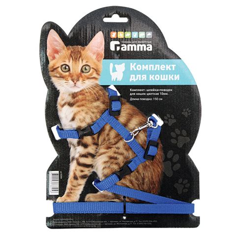 Комплект для кошек "Гамма": шлейка, поводок — купить в интернет ...