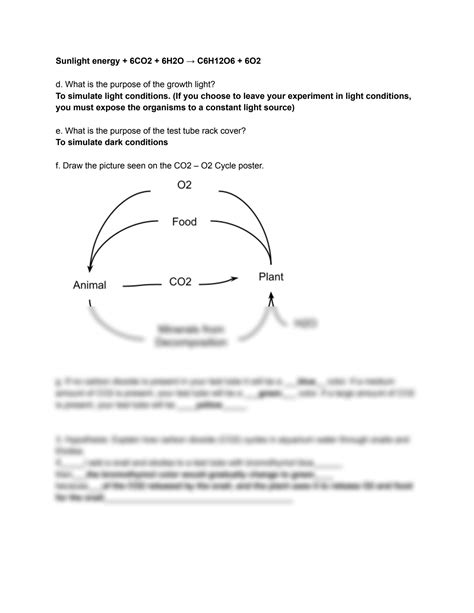 Cellular Respiration Virtual Lab 4