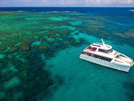 Port Douglas Reef Tours