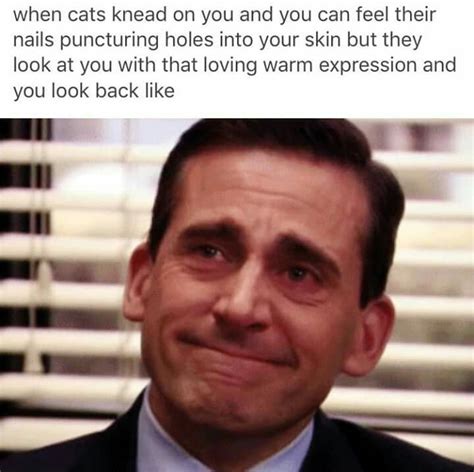 Pussy Meme By Tylee Memedroid