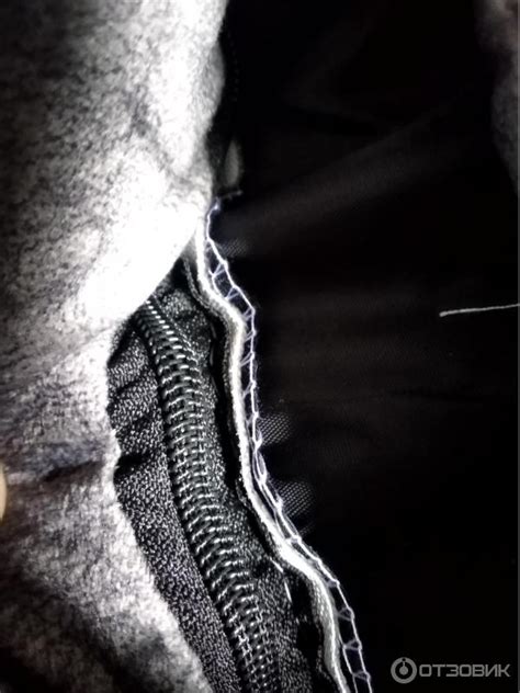 Отзыв о Лежанка с бортиками для собак Zootorika SunBed | Большая и ...