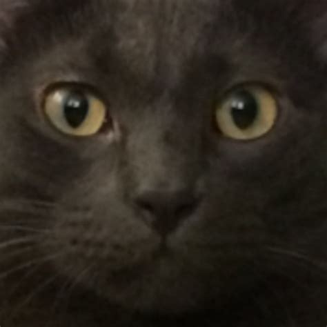 Caption My Pussy Captionmypussy Tumblr Blog Tumlook