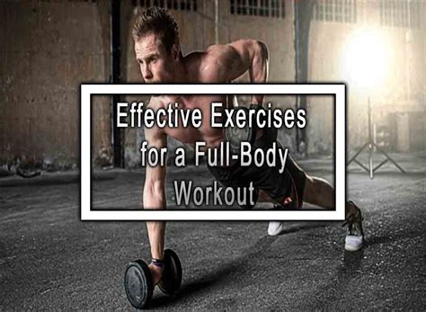 effective exercises   full body workout
