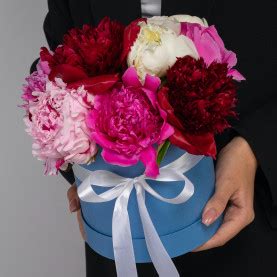 Купить пионы в Москве с доставкой недорого | Мегацвет24