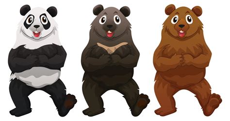 Three Types Of Bears 381300 Vector Art At Vecteezy