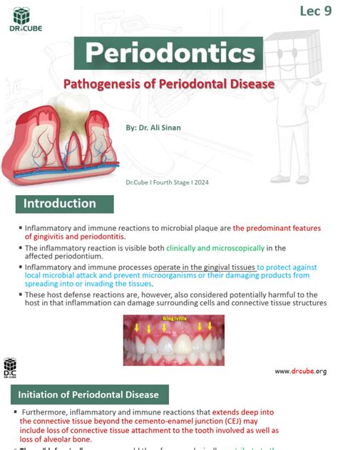 Perio Lec9 Pathogenesis O Periodontal Diseases Pdf Periodontology