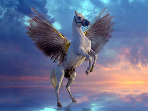 Ahmed Jaouadi: The winged horse from Pegasus to Al-buraq