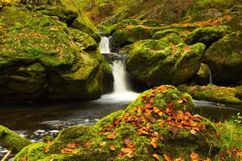 Premium Photo Small River