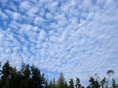 Clouds