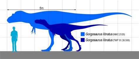 Gorgosaurus | The Dreadful Lizard of the Late Cretaceous