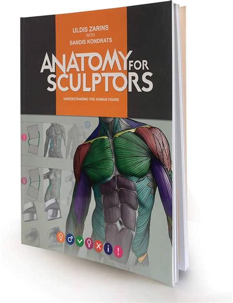 Anatomy For Sculptors Anatomy Book Series For Artists, 48% OFF