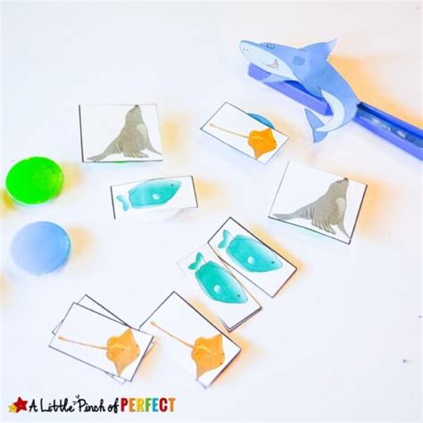 Learning about Shark Senses Activity and Free Printable - A Little