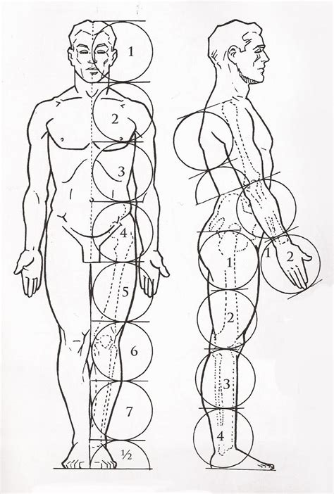 Corpo2  877×1301 Desenho Corpo Humano Arte Com Greys Anatomy