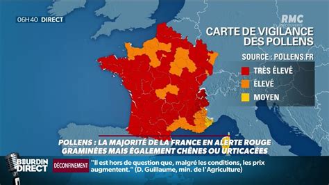 Allergie Aux Pollens Pourquoi La France Est En Alerte Rouge YouTube