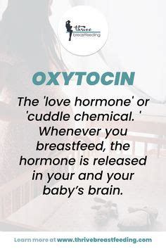 What is oxytocin in breastfeeding? Take a look at all the breastfeeding ...