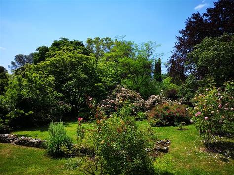 Giardino Di Ninfa Cisterna Di Latina All You Need To Know BEFORE You Go With Photos