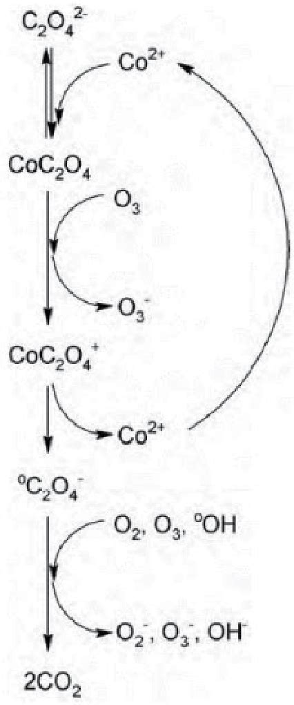 Mechanism Of Oxalic Acid Oxidation In The Presence Of Coii Ions