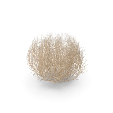 tumble weed images png png images psds   pixelsquid