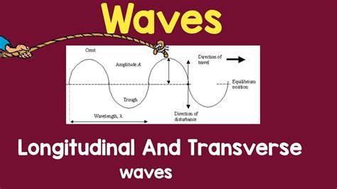 Transverse And Longitudinal Waves Wave Motion Wave Class 11 Physics Wave And Sound Physics