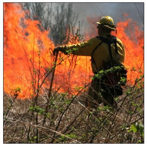 Wildland Fire Program - Delaware Department of Agriculture - State of ...