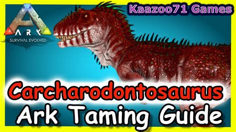 Ark How To Tame A Carcharodontosaurus 💥the Real Way Youtube