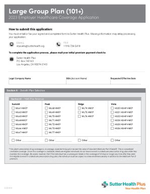 Fillable Online Large Group Plan 101 2023 Employer Healthcare