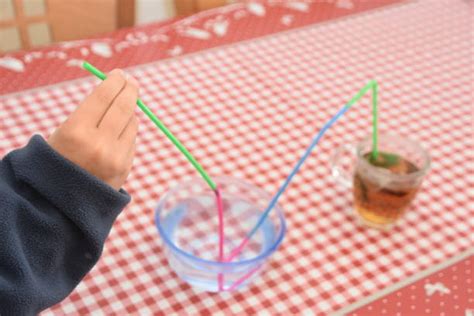 120 Novelty Plate Stock Photos Pictures And Royalty Free Images Istock