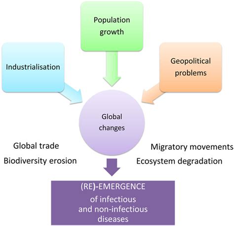 The One Health Concept A Holistic Transdisciplinary And