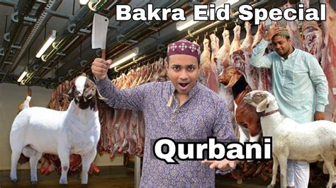 Bakra Eid Special Vlog Bakra Eid Ka Pahla Din Or Pure Din Bas Kro