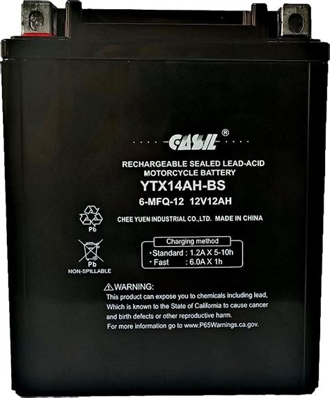 Amazon YTX14AH BS High Performance Maintenance Free Sealed AGM