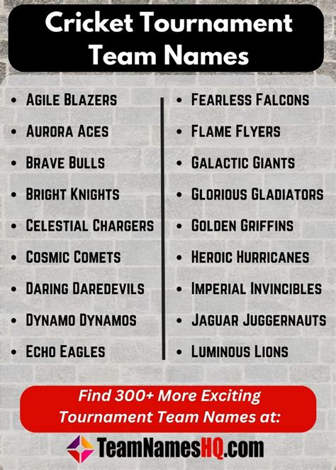 team  ideas  cricket