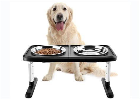 Selecting the Perfect Pet Feeder for Your Pet – Ownpets
