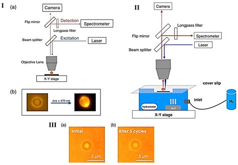 Chemosensors Free Full Text Recent Sensing Technologies Of