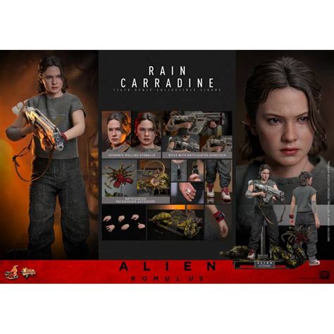 Hot Toys Pre Order Th Scale Kingdom Come