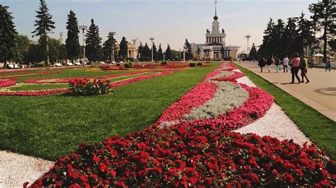 Купить торф дешево. Плодородный грунт - YouTube